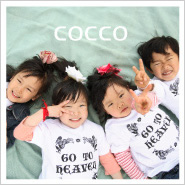 �ե��ȥ����꡼NO,241