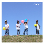 �ե��ȥ����꡼NO,242