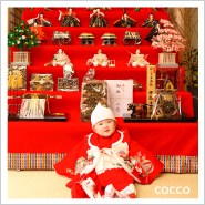 �ե��ȥ����꡼NO,244