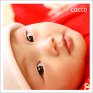 �ե��ȥ����꡼NO,245