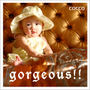 �ե��ȥ����꡼NO,246