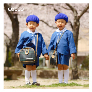 �ե��ȥ����꡼NO,247