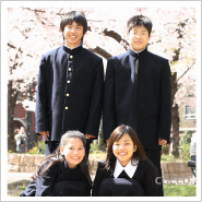 �ե��ȥ����꡼NO,254