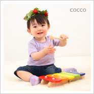 �ե��ȥ����꡼NO,260