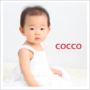 �ե��ȥ����꡼NO,263