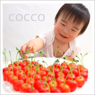 �ե��ȥ����꡼NO,266