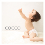 �ե��ȥ����꡼NO,275