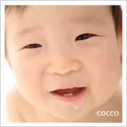 �ե��ȥ����꡼NO,276