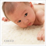 �ե��ȥ����꡼NO,297